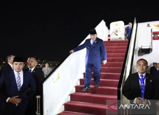Presiden Prabowo kembali Sambangi Kairo untuk Temui Presiden Sisi