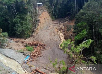 19 Warga Hilang Akibat Banjir Bandang & Longsor di Pegunungan Arfak