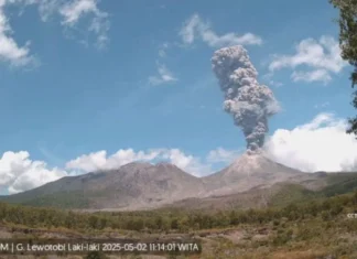 Badan Geologi Tingkatkan Status Gunung Lewotobi Laki-laki jadi Awas