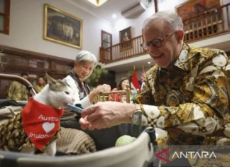 PM Australia Beri Kalung Syal untuk Kucing Prabowo “Bobby Kartanegara”