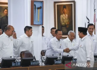 Presiden Ancam Tutup Penggilingan yang Nakal, Sebut UUD jadi Pedoman
