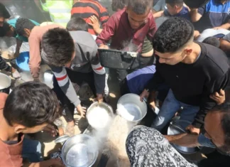 Senator AS Desak Blokade Pangan ke Gaza segera Dihentikan