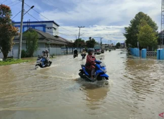 Sungai Kayan Meluap, Ibu Kota Kaltara Banjir Mencapai 45 Cm