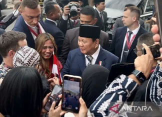 Diaspora Indonesia Sambut Meriah Presiden Prabowo di St. Petersburg