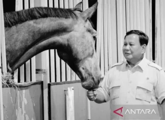 Survei: Pemerintahan Prabowo Raih Dukungan Publik 81,2 Persen