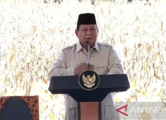 Prabowo: Saya tidak akan Tenang sebelum Indonesia Swasembada Pangan
