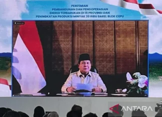 Prabowo Resmikan Operasional dan Pembangunan PLTP-PLTS di 15 Provinsi