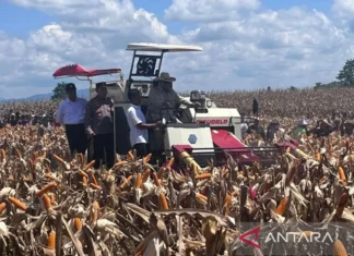 Prabowo Operasikan Mesin Corn Combine Harvester saat Panen Raya Jagung