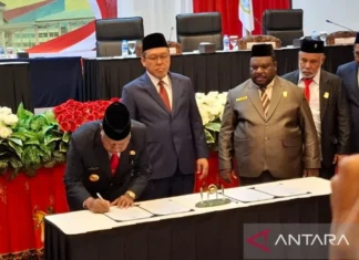 BPK Minta Pemprov Papua Barat Perbaiki Tata Kelola Keuangan Daerah