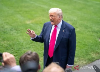 Trump: RI Setuju Buka Akses Pasar Penuh dengan AS, Beli Pesawat Boeing