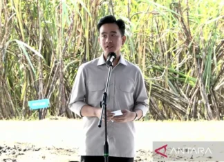 Wapres Gibran Ingatkan Target Swasembada Gula Konsumsi Tahun 2026