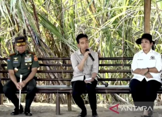 Wapres Minta Mentan Libatkan Anak Muda untuk R&D Pertanian