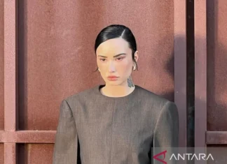 Demi Lovato Merilis Single Baru