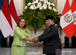 Presiden Peru Ingin CEPA Diteken agar Mudah Pasok Blueberry ke RI