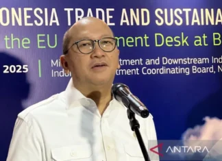 Freeport Setuju Lepas 12 Persen Saham ke Indonesia