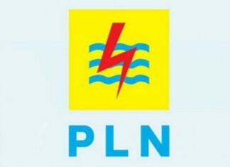 Fitch Pertahankan Peringkat Kredit PLN di ‘BBB’ dengan Outlook Stabil, Naikkan Profil Kredit Mandiri