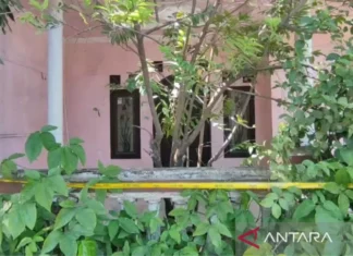 Polres Indramayu Selidiki Temuan Lima Jenazah Terkubur di Satu Liang