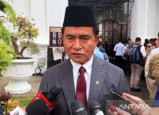 Prabowo Tunjuk Yusril jadi Ketua Komite Nasional TPPU