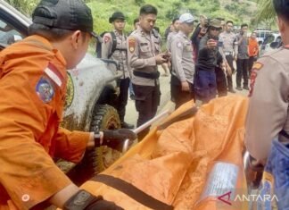 Tim SAR Berhasil Kumpulkan 8 Jasad Korban Heli Jatuh di Hutan Kalsel