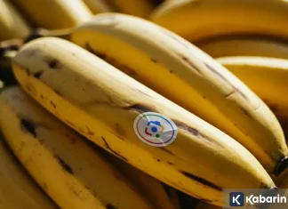 Google Search di Indonesia kini bisa Edit Foto Pakai Fitur Nano Banana