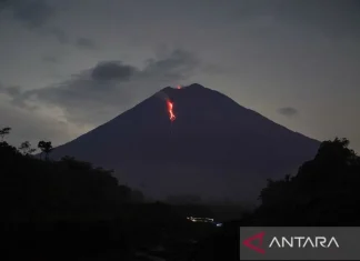 Gunung Semeru Delapan Kali Erupsi dengan Tinggi Letusan 800 Meter