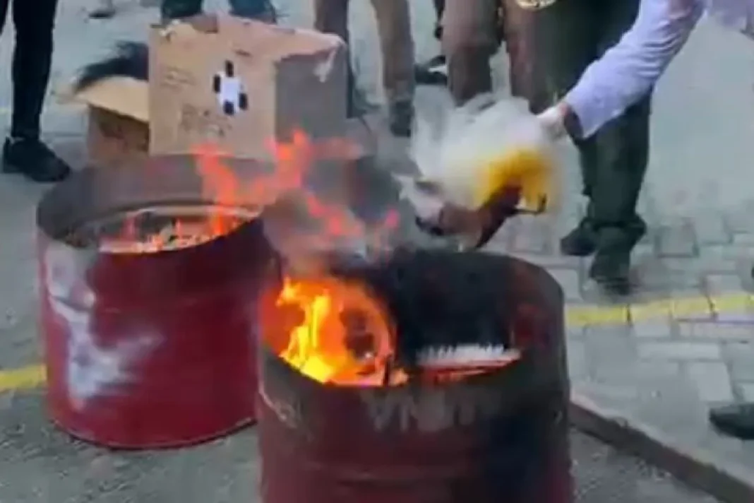 Kemenhut minta maaf ke masyarakat Papua musnahkan mahkota cenderawasih