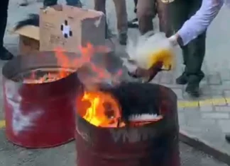 Kemenhut Minta Maaf ke Masyarakat Papua lantaran Musnahkan Mahkota Cenderawasih