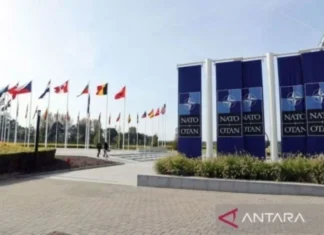 NATO Serukan Pemanfaatan Bioteknologi untuk Perkuat Pertahanan