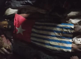 Pimpinan KKB Undius Kogoya Dilaporkan Meninggal di Wandai