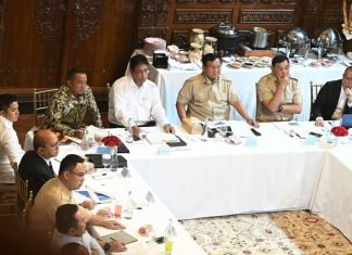 Prabowo Instruksikan Kemendiktisaintek Siapkan 2.000 Profesional Muda untuk BUMN dan Swasta