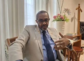 Dubes: Sudan akan Sepakati Gencatan Senjata jika RSF Menyerah