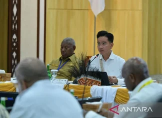 Gibran tak ingin Anggapan Papua Tempat Pengasingan, namun Bagian NKRI