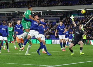 Hasil Liga Inggris: Newcastle Permalukan Everton 4-1, Spurs Kalah Lagi