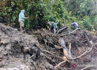 Basarnas: Nduga Zona Merah, Korban Longsor Ditangani Satgas TNI