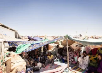 PBB Terima Laporan Adanya Kekerasan Seksual di El Fasher, Sudan