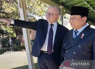 Prabowo-Albanese Nikmati Pemandangan Sydney di Sela Temu Empat Mata