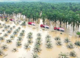 Akses Darat Bisa Ditembus, Kemensos Kebut Bantuan ke Aceh Tamiang
