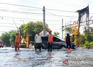 BPBD DKI Laporkan 23 RT Terdampak Banjir Rob
