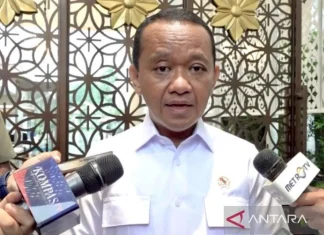 Imbas Bencana, Kementerian ESDM Evaluasi Kembali IUP di Aceh dan Sumut