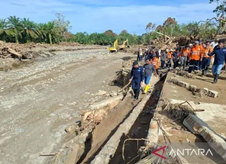 KLH Mulai Panggil Empat Perusahaan Beroperasi di DAS Batang Toru