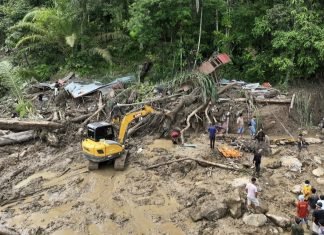 Catatan Abah Dahlan: “Main Kayu”