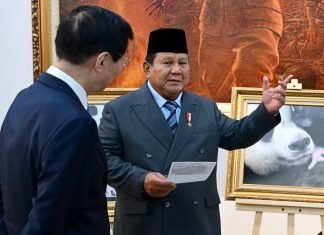 Presiden Prabowo Beri Nama Bayi Panda: Satrio Wiratama, Simbol Keberanian dan Kemuliaan