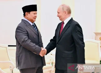 Putin: Hubungan Perdagangan RI-Rusia Meningkat 17 Persen