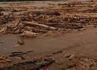 Catatan Abah Dahlan: “Setelah Hujan”