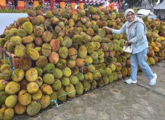 Akhirnya, Durian Beku Indonesia tiba di Pasar China