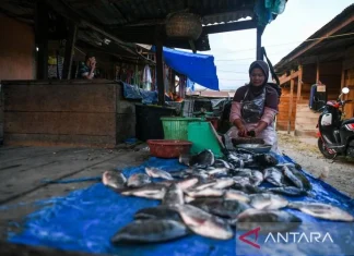 Akses Blangkejeren-Kutacane Kembali Terhubung, Harga di Pasar Beranjak Stabil