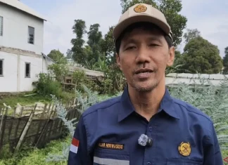 Alih Fungsi Lahan Bukan Faktor Utama Longsor Cisarua