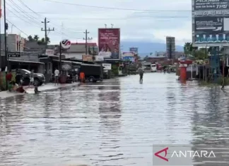 Banjir 50 Cm, Akses Jalan Lintas Barat Sumatera di Bengkulu Ditutup