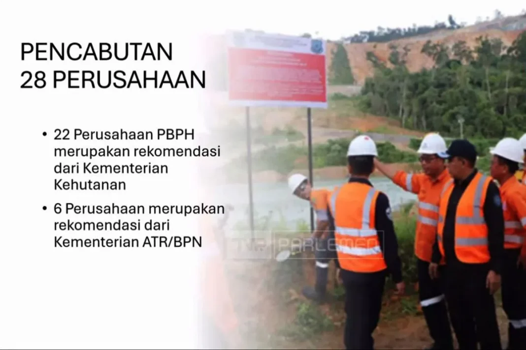 Langgar lingkungan, 28 perusahaan di Sumatra dicabut izin usahanya