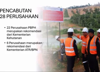 Rusak Lingkungan, 28 Perusahaan di Sumatra Dicabut Izin Usahanya